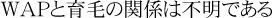 WAPと育毛の関係は不明である