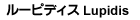 ルーピディス Lupidis