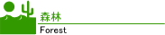 森林(Forest)