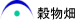 穀物畑