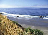 穏やかな浜辺が続く西海岸