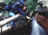 清流で疲れを癒す登山客
