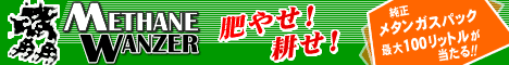 メタンヴァンツァー
